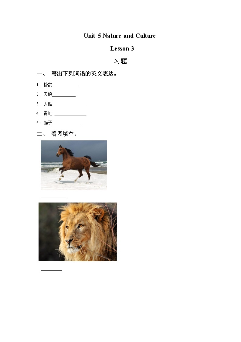 六年级英语下册 Unit5 Nature and Culture    Lesson 3 习题01