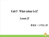 人教精通版三年级英语（上学期）Lesson25课件