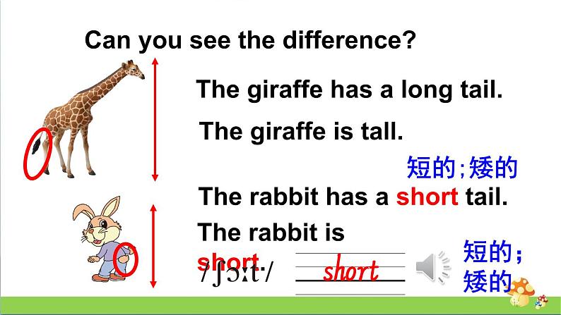 人教精通版四年级上册Lesson 33教学课件05