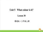 人教精通版三年级英语（上学期）Lesson30课件
