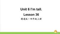小学Unit 6  I'm tall.Lesson 36 Revision教学ppt课件