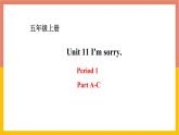 Unit 11 I'm sorry Period 1 湘少版五年级英语上册课件