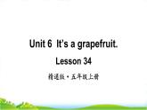 人教精通版五年級上學(xué)期Lesson34教學(xué)課件