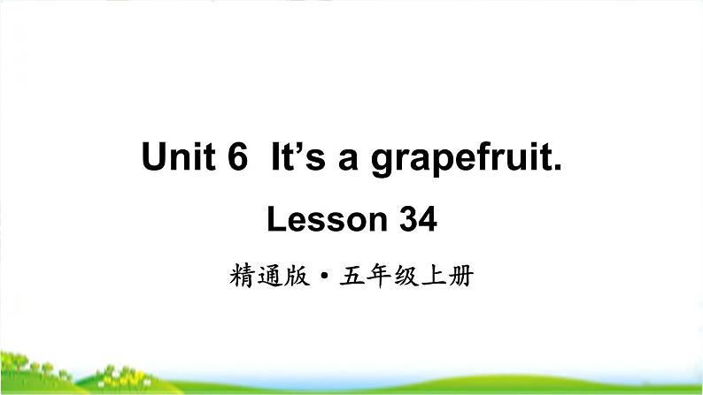 人教精通版五年级上学期Lesson34教学课件01