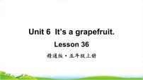 小学英语人教精通版五年级上册Lesson 36优质课教学ppt课件