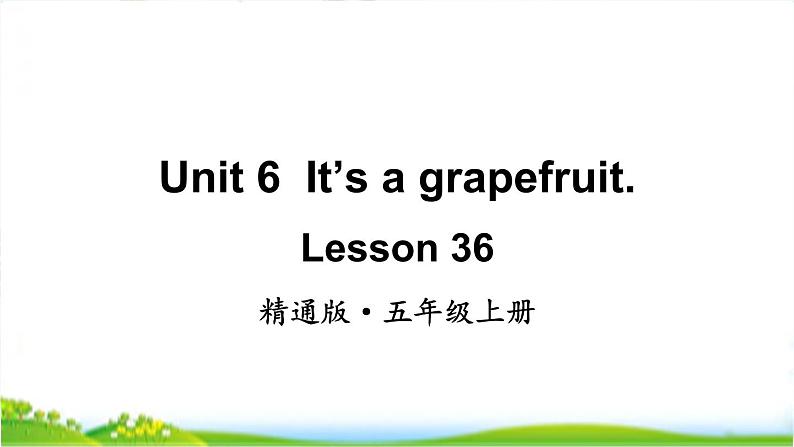 人教精通版五年级上学期Lesson36教学课件01