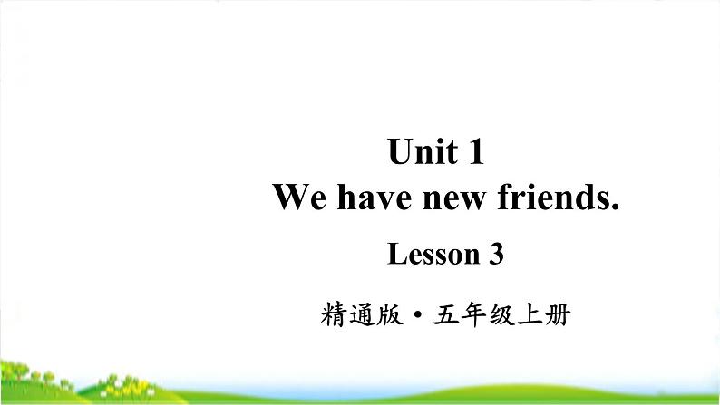 人教精通版五年级上学期Lesson3教学课件01