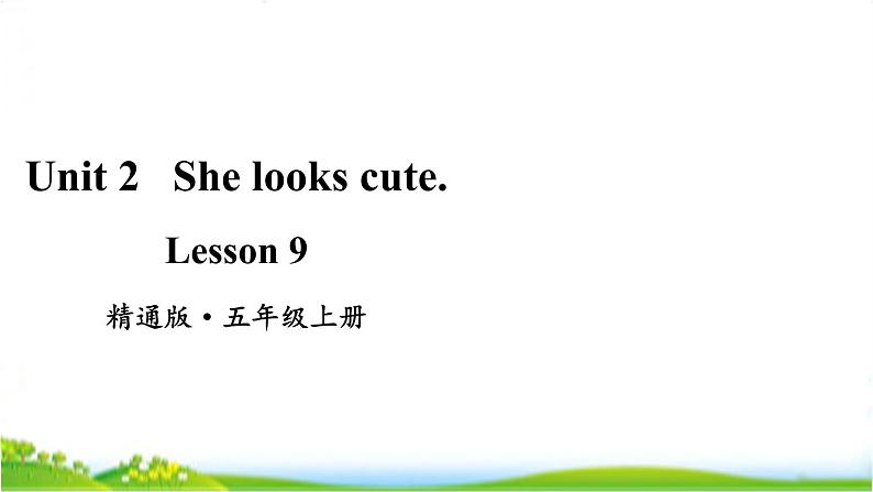 人教精通版五年级上学期Lesson9教学课件01
