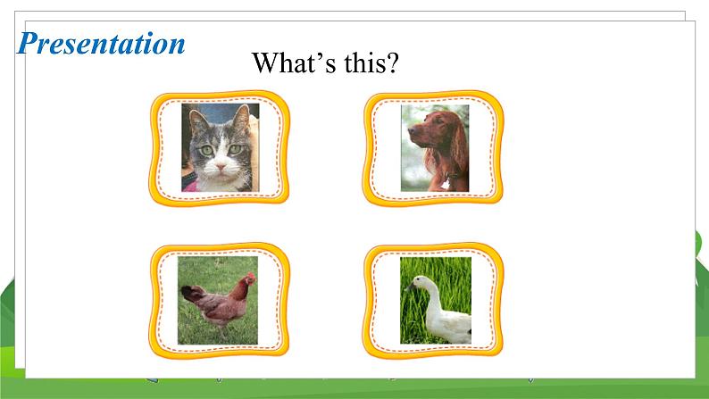 冀教版英语3下 Lesson2 PPT课件+教案04