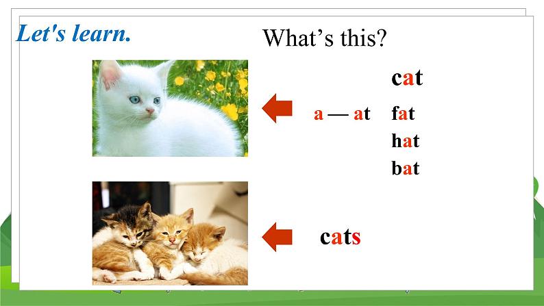 冀教版英语3下 Lesson2 PPT课件+教案06
