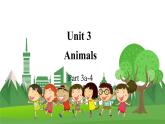 4英下(JQ) -Unit 3 Animals Part 3a-4 PPT课件