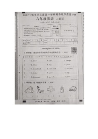 山东省济宁市金乡县2022-2023学年六年级上学期期中英语试题