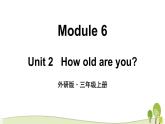（外研版）三年级英语上Module6Unit2教学课件