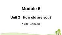 外研版 (三年级起点)三年级上册Unit 2 How old are you?教学ppt课件