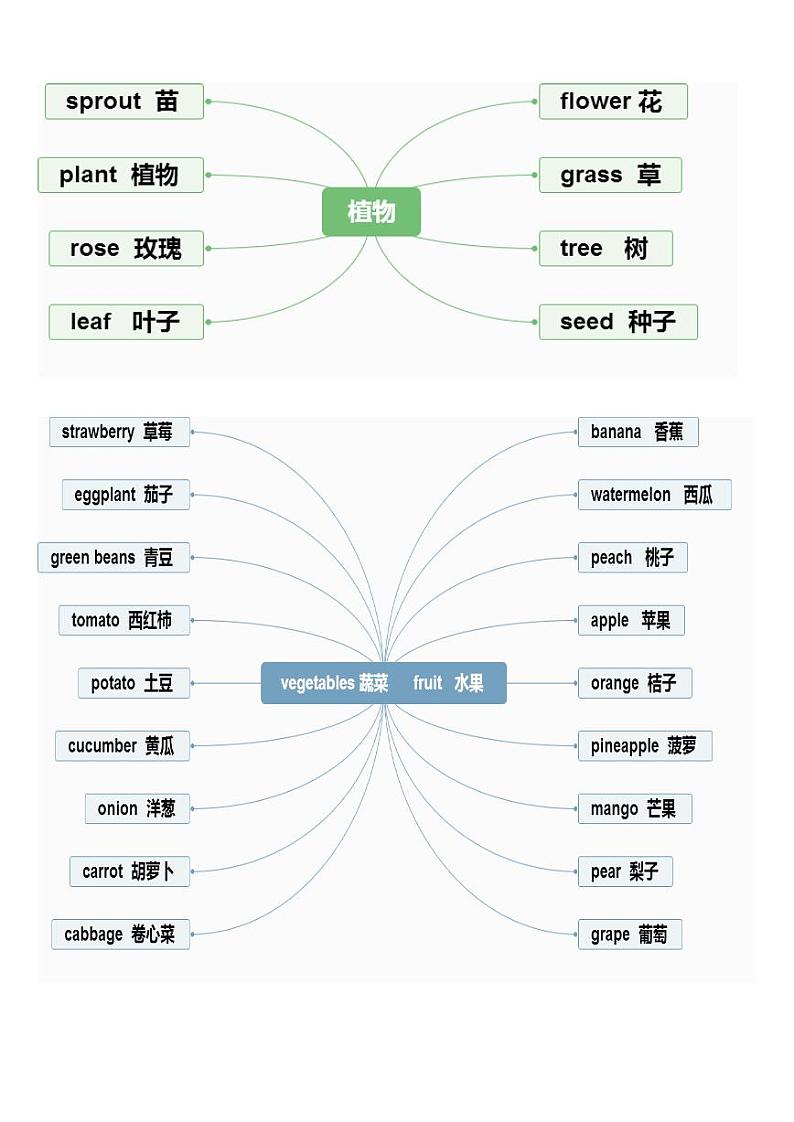 小学英语单词思维导图第2页