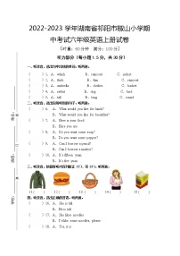 湖南省祁阳市椒山小学2022-2023学年五年级上学期期中英语试题