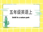 人教版(PEP)五年级上册Unit 6 In a nature park知识点复习课件