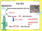 人教版(PEP)五年级上册Unit 6 In a nature park知识点复习课件