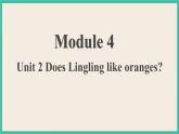 Module 4 Unit 2  课件+教案