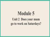 Module 5 Unit 2  课件+教案