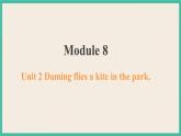 Module 8 Unit 2 课件+教案