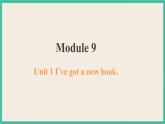 Module 9 Unit 1 课件+教案