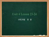 三年级下册英语课件-Unit4 Do you like candy Lesson 23-24 人教精通版