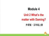 （外研版）五年级英语上册Module 4 Unit 2教学课件