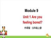 （外研版）五年级英语上册Module 9 Unit 1教学课件