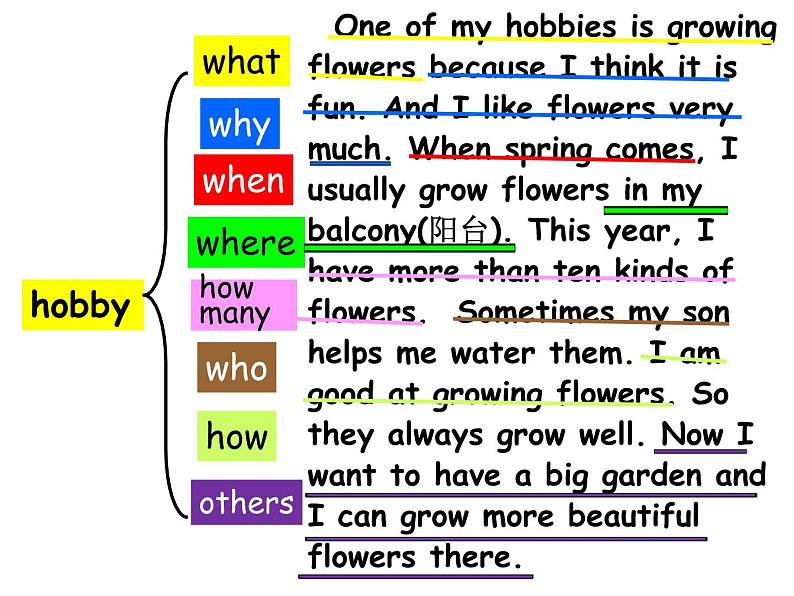 Module1 Hobbies (Revision)课件06