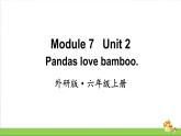 （外研版）六年级上册英语Module7Unit2教学课件