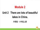 （外研版）六年级上册英语Module2Unit2教学课件