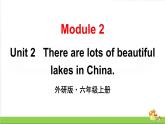 （外研版）六年級(jí)上冊(cè)英語(yǔ)Module2Unit2教學(xué)課件