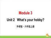（外研版）六年级上册英语Module3Unit2教学课件