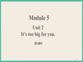 Module 5 Unit 2 第2课时 课件+教案