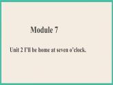 Module 7 Unit 2 第2课时 课件+教案