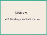 Module 9 Unit 2 第2课时 课件+教案