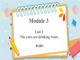 外研版（三起）六年级下册 Module 3 Unit 2 第2课时 课件+教案