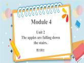 外研版（三起）六年级下册 Module 4 Unit 2 第2课时 课件+教案