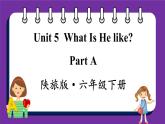 Unit5 What Is He like Part A（课件+素材）陕旅版（三起）英语六年级下册