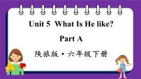 小学英语Unit 5 What Is He like？示范课ppt课件