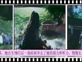 Unit2 Good Health to You! Lesson 12 Helen Keller（課件+素材）冀教版（三起）英語六年級下冊