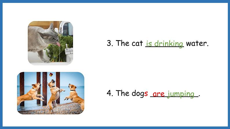 Module 3 Unit 2 The cows are drinking water.（课件）外研版（三起点）六年级英语下册第3页