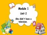 Module 1 Unit 2 She didn't have a television.（课件）外研版（三起点）五年级英语下册