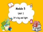 Module 5 Unit 1 It's big and light.（课件）外研版（三起点）五年级英语下册