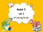 Module 5 Unit 2 It's too big for you.（课件）外研版（三起点）五年级英语下册
