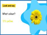 Module 1 Unit 2 My favourite colour is yellow.（课件）外研版（三起点）三年级英语下册