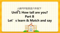 小学英语人教版 (PEP)六年级下册Unit 1 How tall are you? Part B一等奖ppt课件