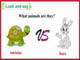 Reading for Fun The Tortoise and the Hare （课件+素材）冀教版（三起）英语五年级下册