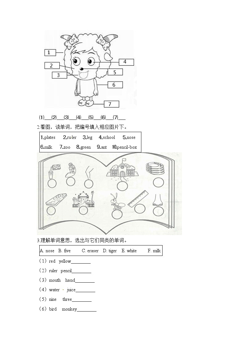 人教PEP 三年级上学期 期末易错题专练 字母类(含答案)03